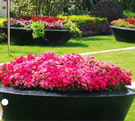 校園景觀設計需要把握好哪幾項因素