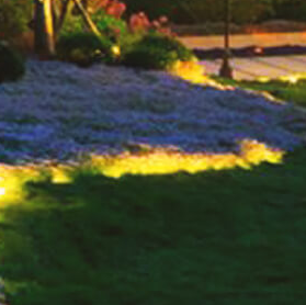 蘇州校園景觀設計?的具體方法